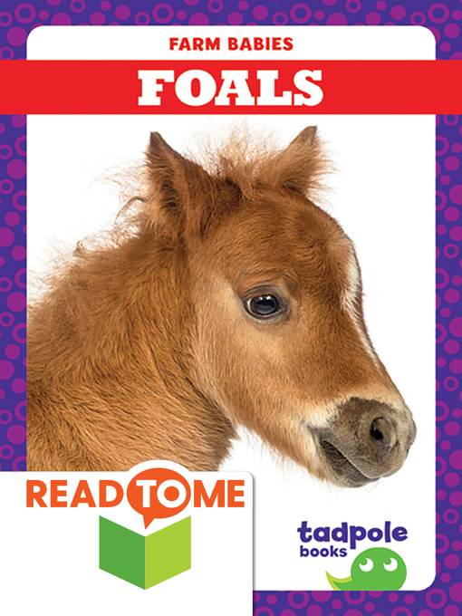 Title details for Foals by Tim Mayerling - Available